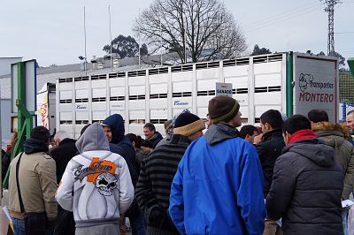 2016 03 17 FolgaServicarneFrigolouro02.JPG